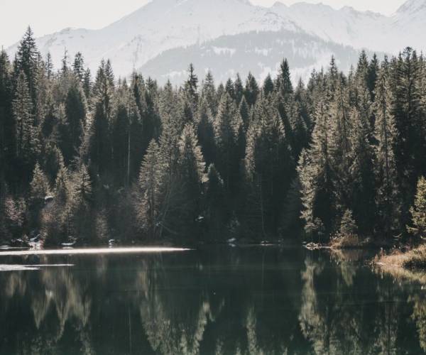 A lake surrounded by mountains and forests with trees reflecting on the water